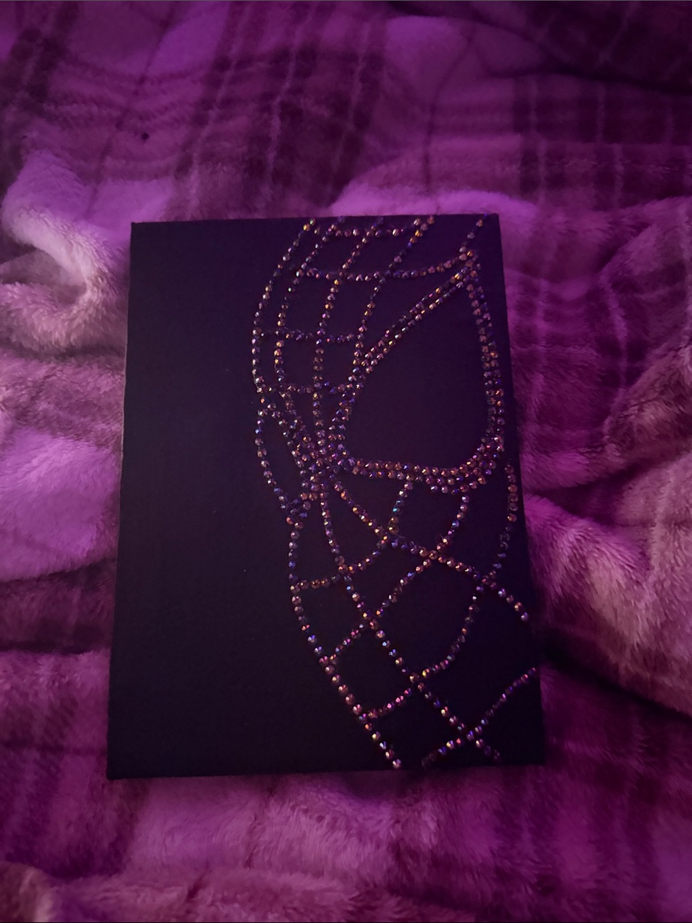 Spider-Man bedazzled canvas